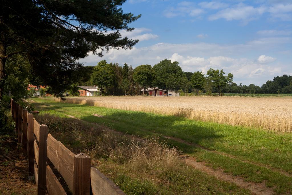Ferienhaus Heideland Winsen Aller Meißendorf Rom bilde