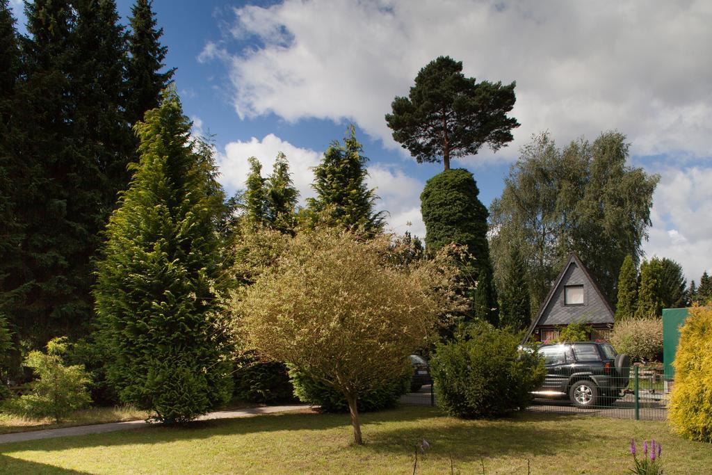 Ferienhaus Heideland Winsen Aller Villa Meißendorf Rom bilde